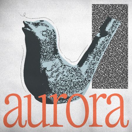 Líquen - Aurora