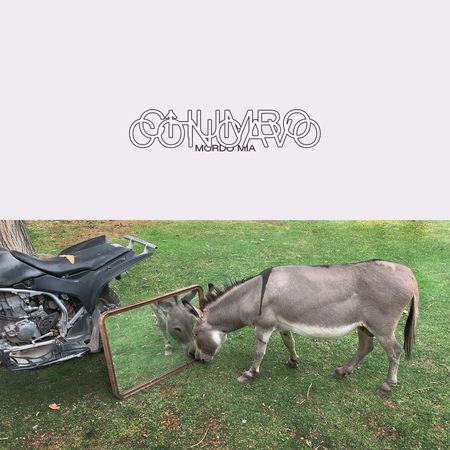 Mordo Mia - Chumbo Côncavo