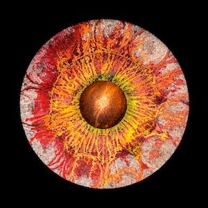 Rui Reininho - 20.000 Éguas Submarinas